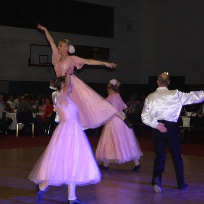 Bild vergr&ouml;&szlig;ern: Ball der Vereine 2014