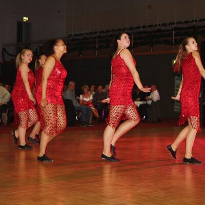 Bild vergr&ouml;&szlig;ern: Ball der Vereine 2014