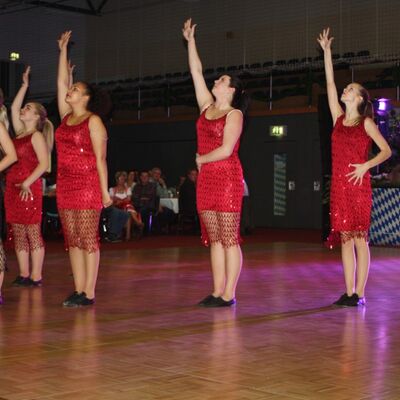 Bild vergr&ouml;&szlig;ern: Ball der Vereine 2014