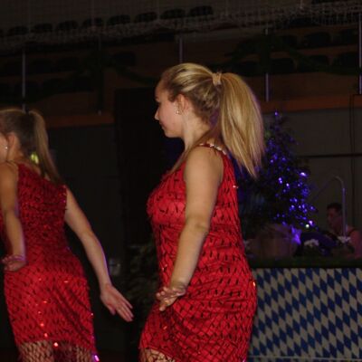 Bild vergr&ouml;&szlig;ern: Ball der Vereine 2014