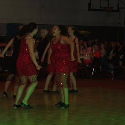 Bild vergr&ouml;&szlig;ern: Ball der Vereine 2014