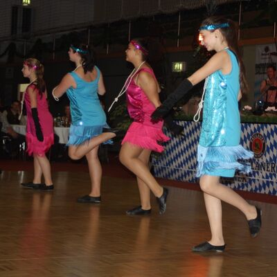 Bild vergr&ouml;&szlig;ern: Ball der Vereine 2014