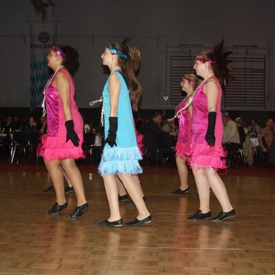Bild vergr&ouml;&szlig;ern: Ball der Vereine 2014