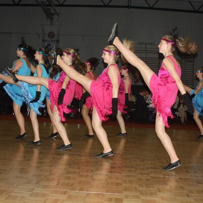 Bild vergr&ouml;&szlig;ern: Ball der Vereine 2014