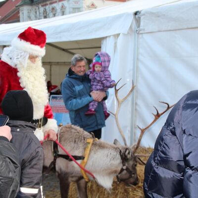 Bild vergr&ouml;&szlig;ern: Anklam im Advent 2014