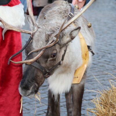Bild vergr&ouml;&szlig;ern: Anklam im Advent 2014