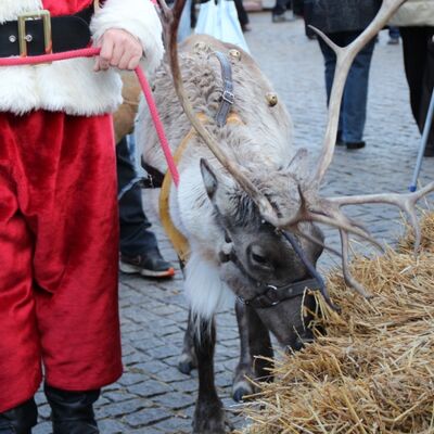Bild vergr&ouml;&szlig;ern: Anklam im Advent 2014