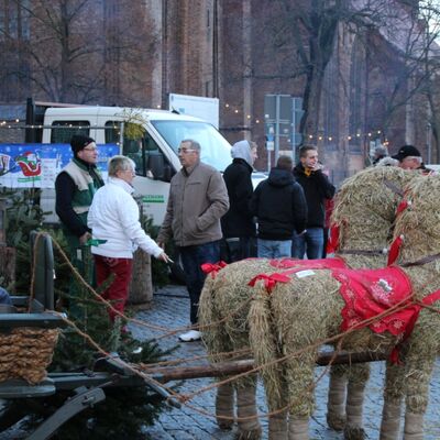 Bild vergr&ouml;&szlig;ern: Anklam im Advent 2014