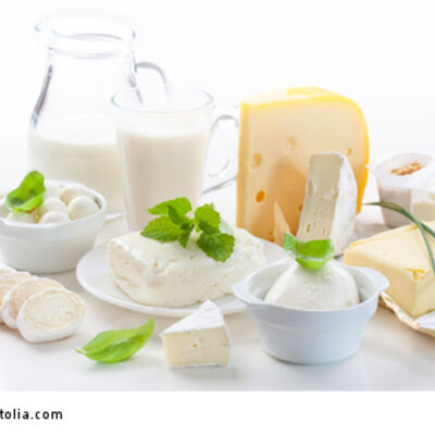 Bild vergrößern: Assortment of dairy products_© Brebca - Fotolia.com _45805872