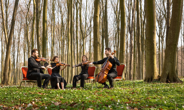 Festspiele MV