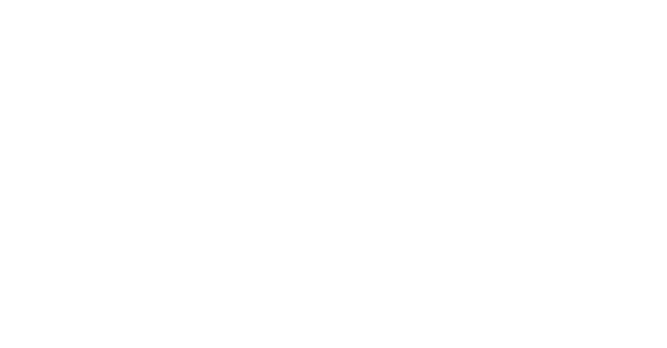 Logo Hansestadt Lilienthalstadt Anklam