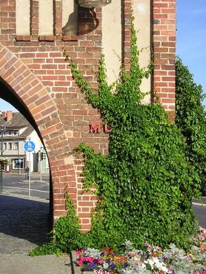 Steintor - Ausschnitt der Fassade am Durchgang